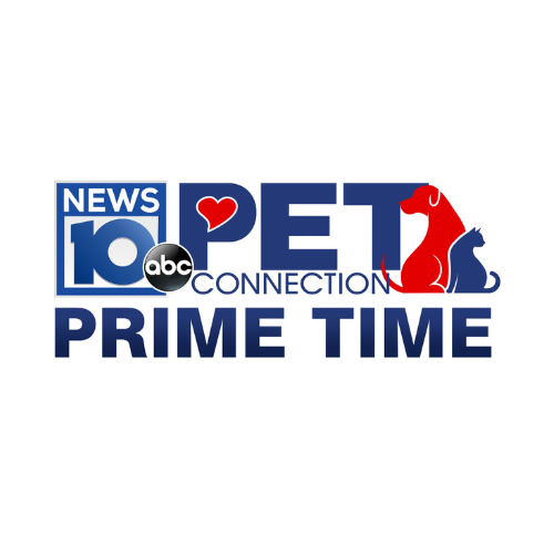 The logo for news 10 abc connection prime time shows a dog and a cat.
