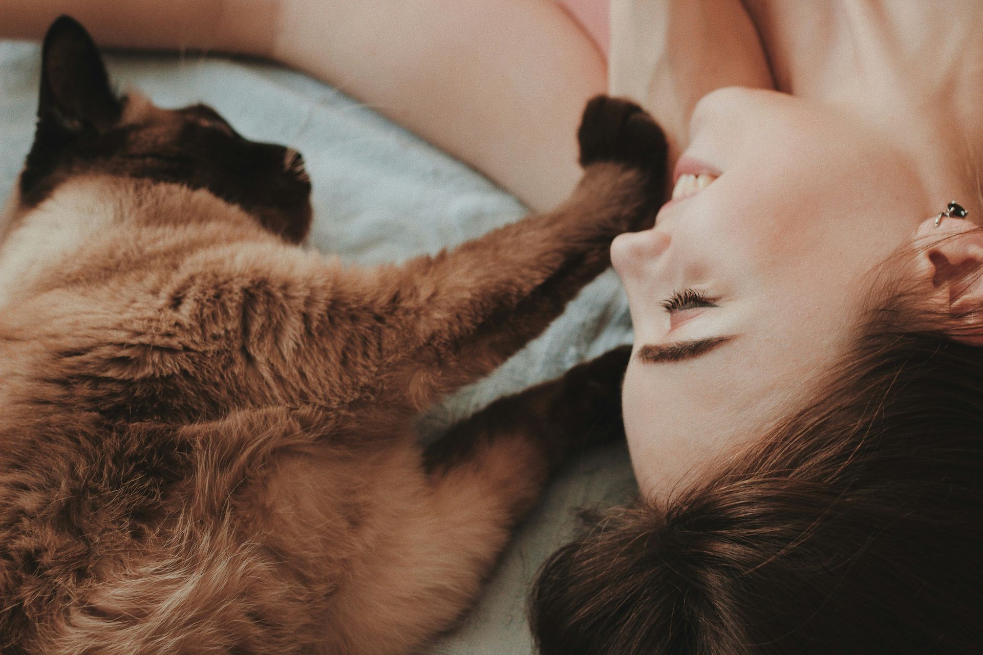 A woman is laying on a bed with a cat petting her face.