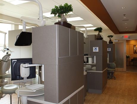 A dental office with a bonsai tree on top of a cabinet