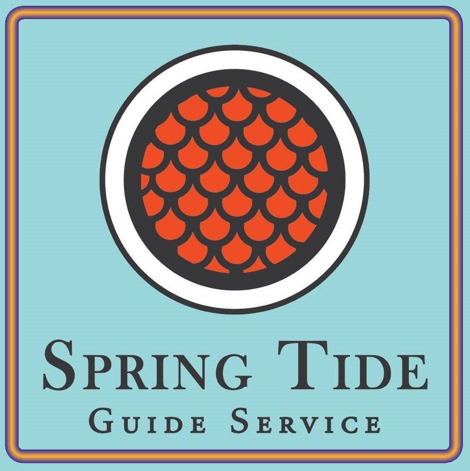 Logo: Orange scales in a circle, white and black border, teal square background. 