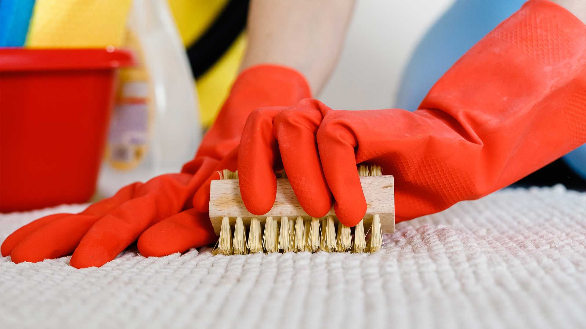 Prepping for the Festive Season A Guide to Removing Carpet Mold and Mildew