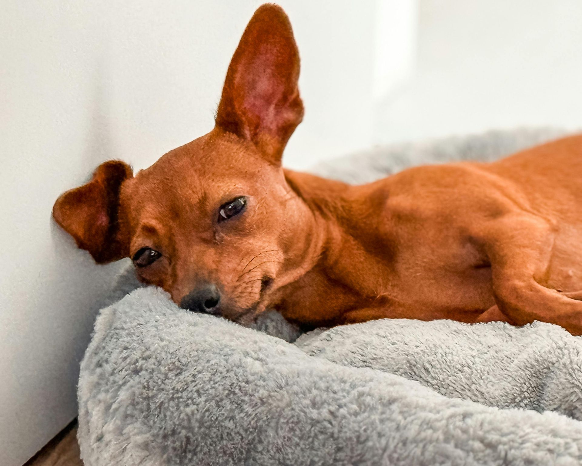 Sleep