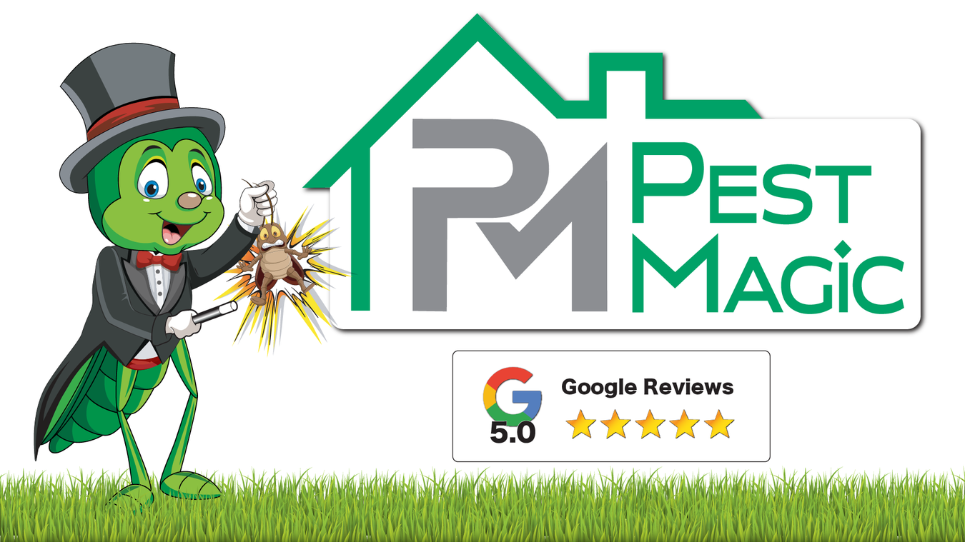 Expert pest prevention services in Middle Georgia