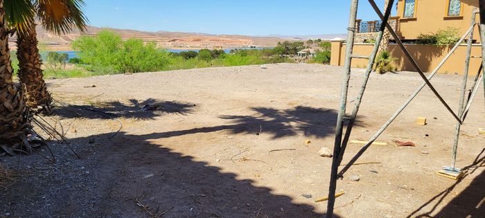 A shadow of a palm tree is cast on a gravel road