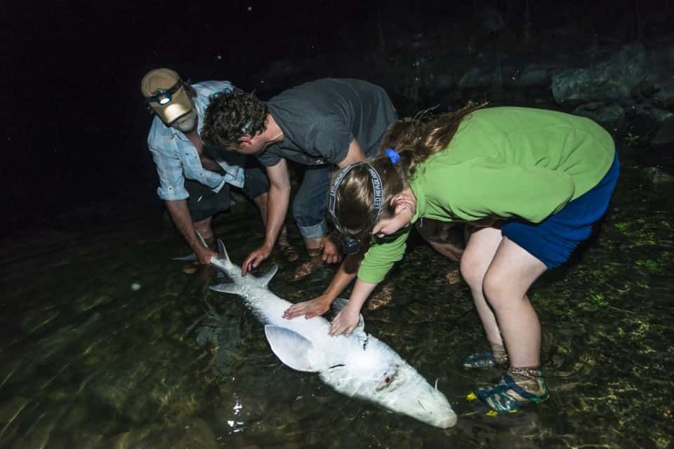 People Holding A Fish