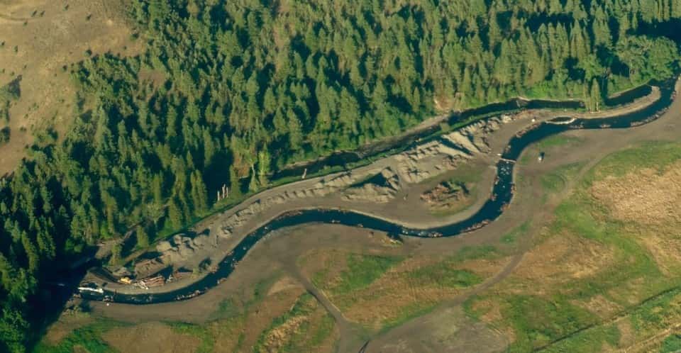 Aerial View of A River Surrounded by Trees and Grass