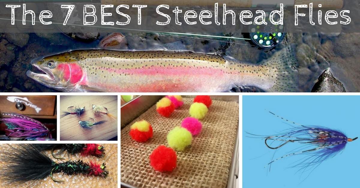 fall steelhead fishing lures Tigofly 12 pcs Wounded Minnow Fly Ice Dub UV Polar Fry Slowly Sinking Salmon Trout Fly Flies Set-Size 8 : Sports & Outdoors Panther Martin Salmon/Steelhead Custom Spinners are engineered to target aggressive river Fall Steelhead Fishing Rock River,