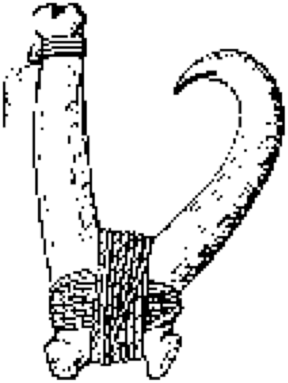 Black and White Drawing of Ancient Circle Hook