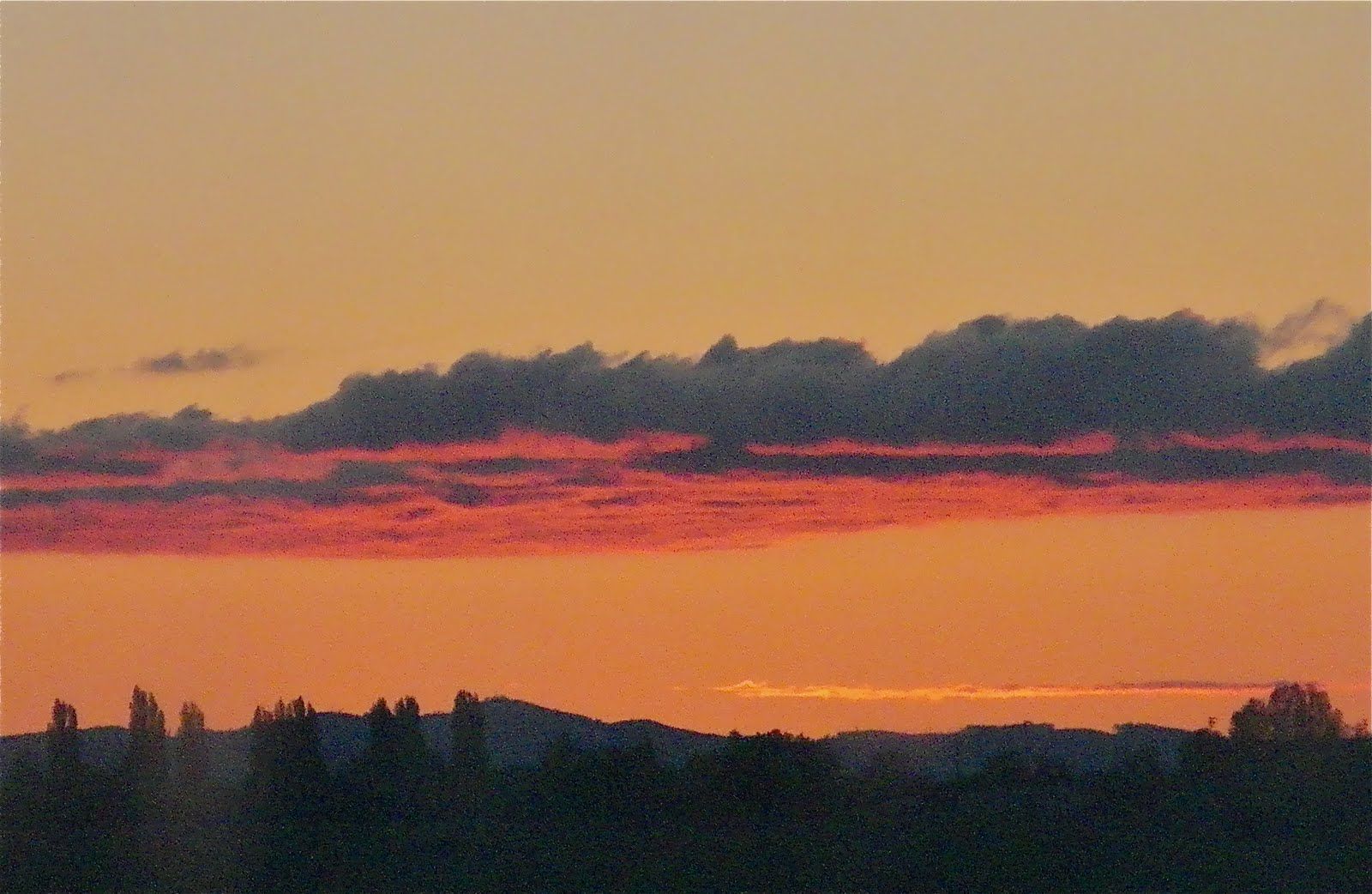A sunset with trees in the foreground and clouds in the background