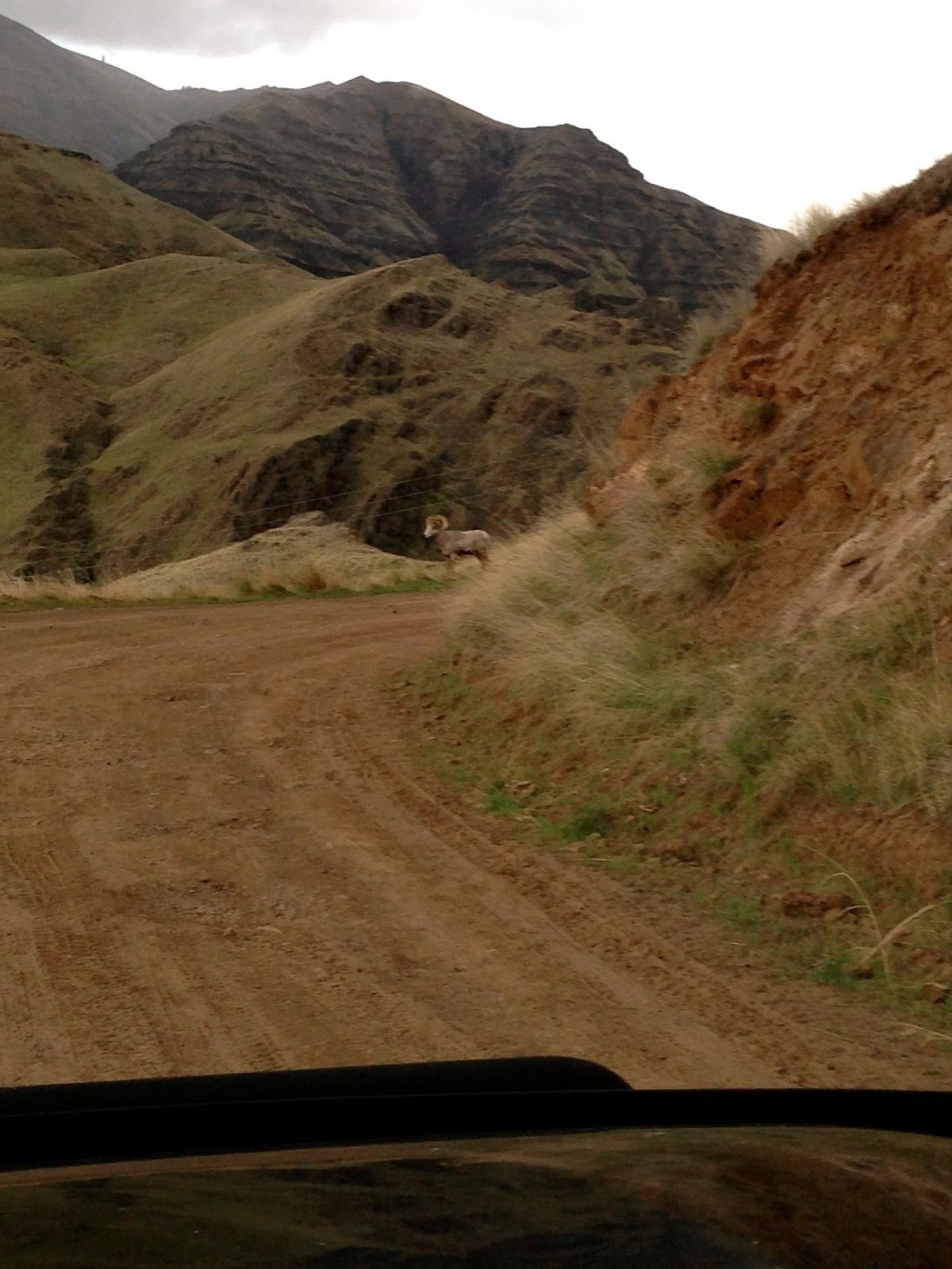 A dirt road with a mountain in the background