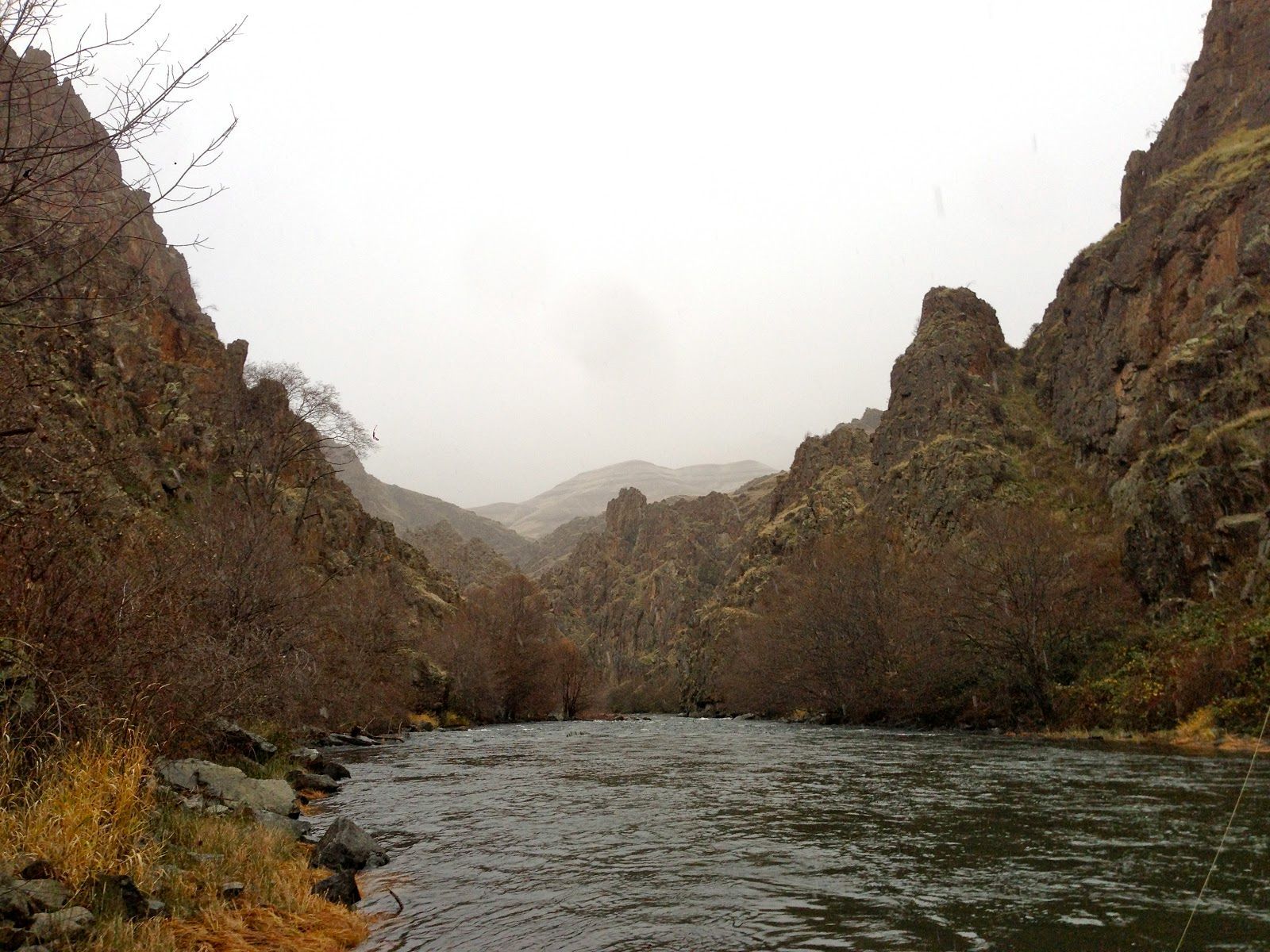 A river flowing through a canyon with mountains in the background