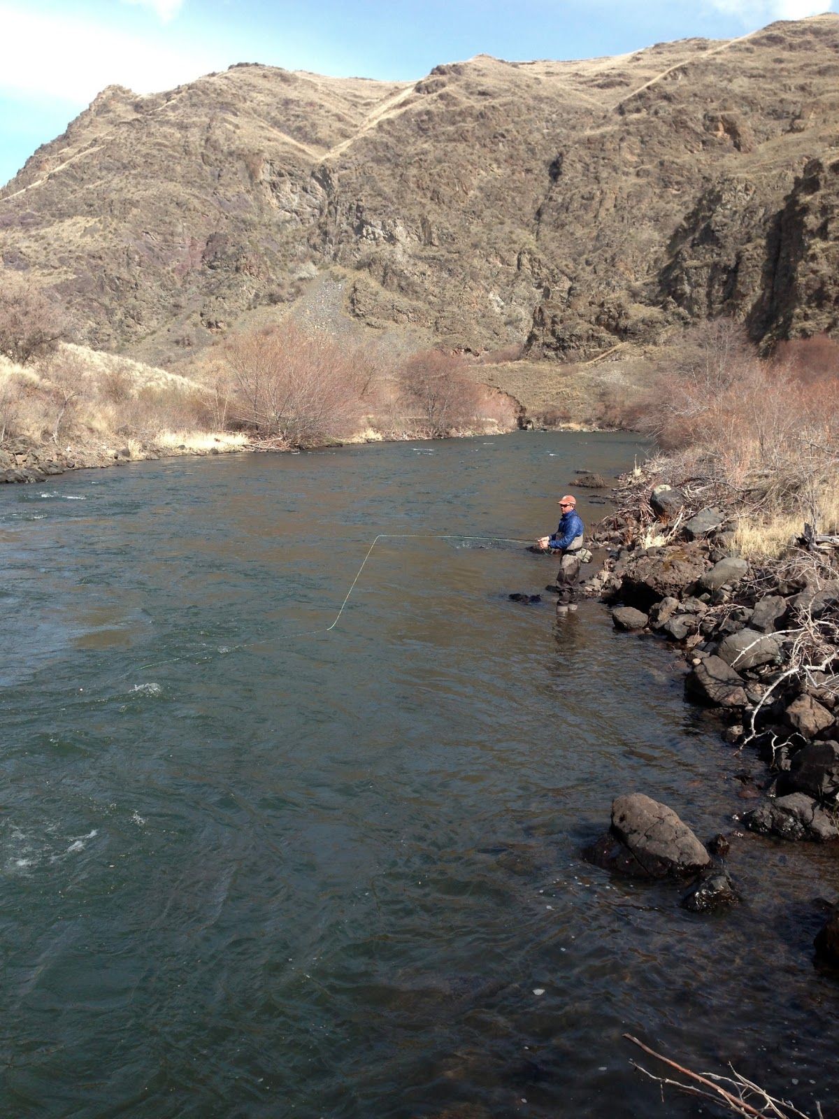 A man is fishing in a river with mountains in the background.