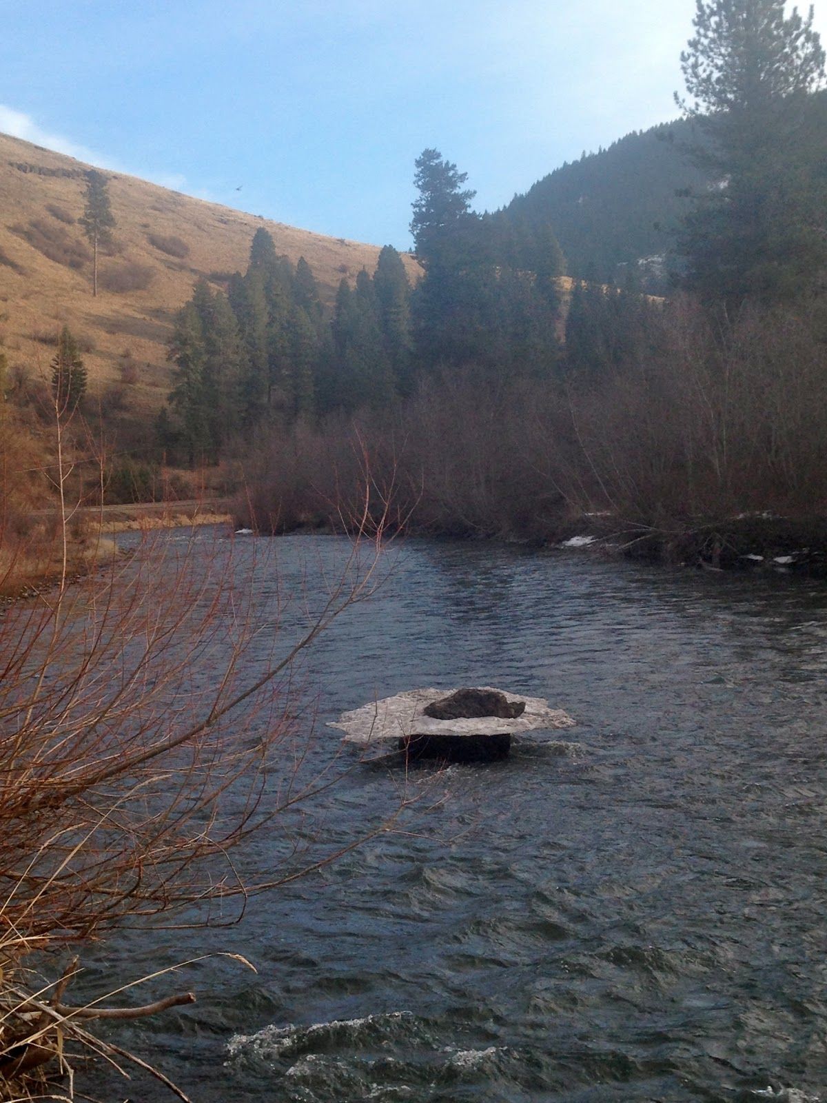 A boat is floating on top of a river surrounded by trees.