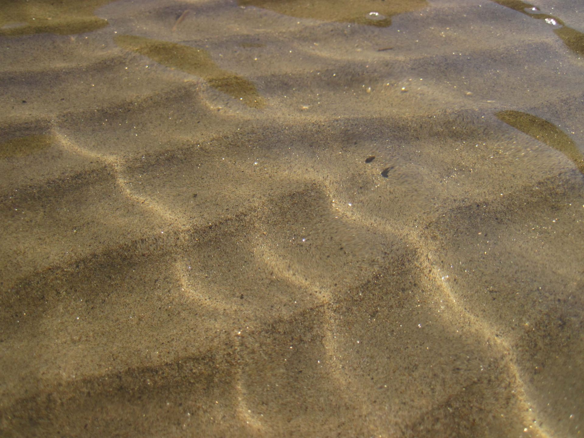 A Man in A Life Jacket Is Swimming in A Lake