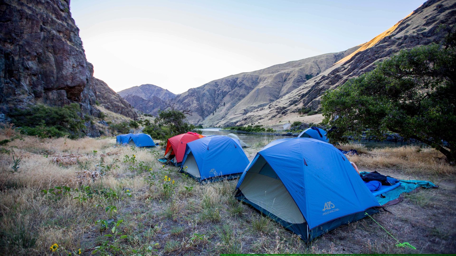 A group of tents are sitting in a field next to a river.