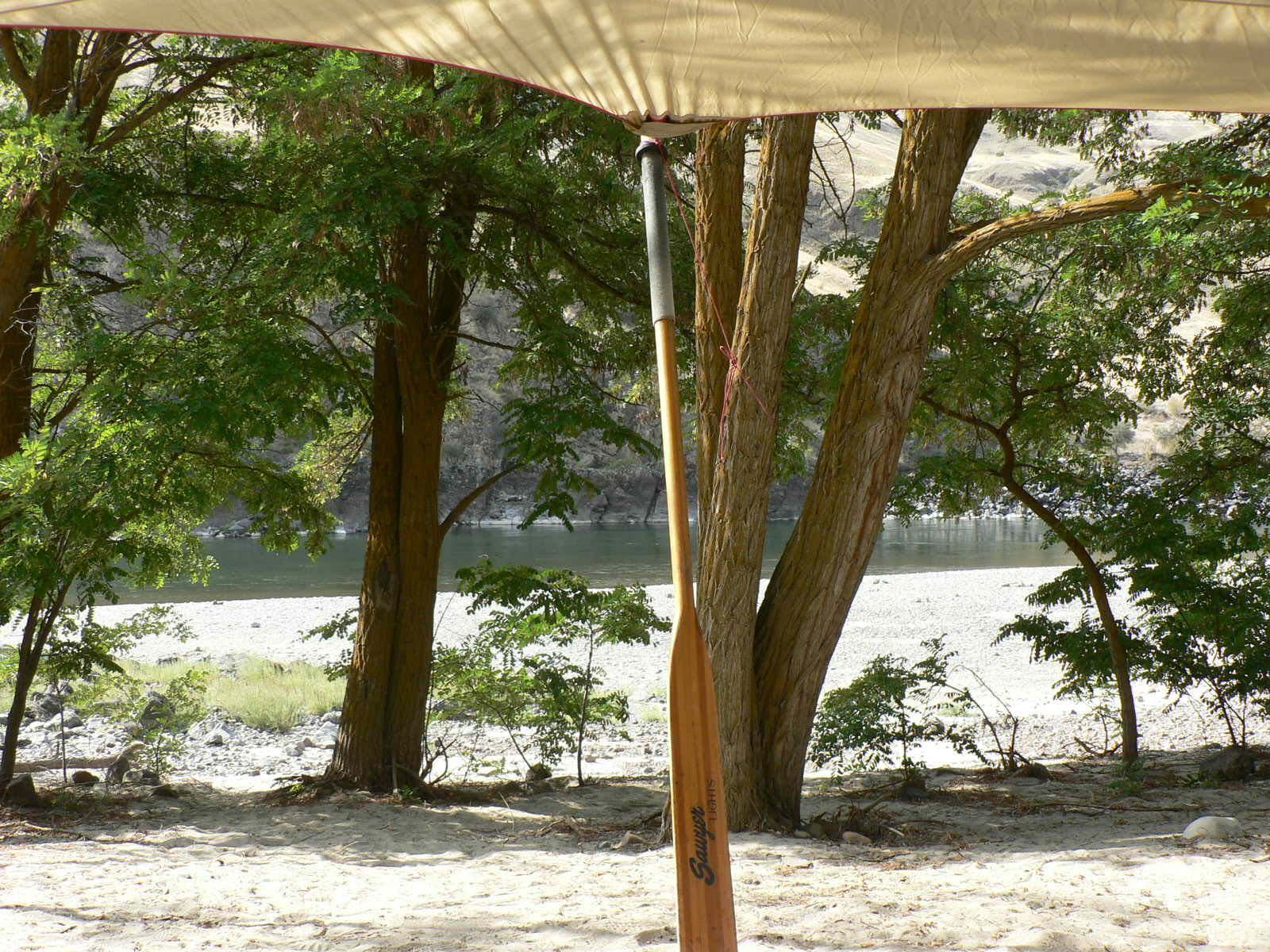 A wooden oar is sitting in the sand near a lake