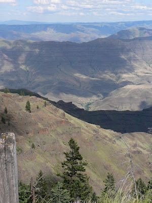 A view of a valley with mountains in the background