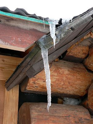 Icicles are hanging from the roof of a log cabin.