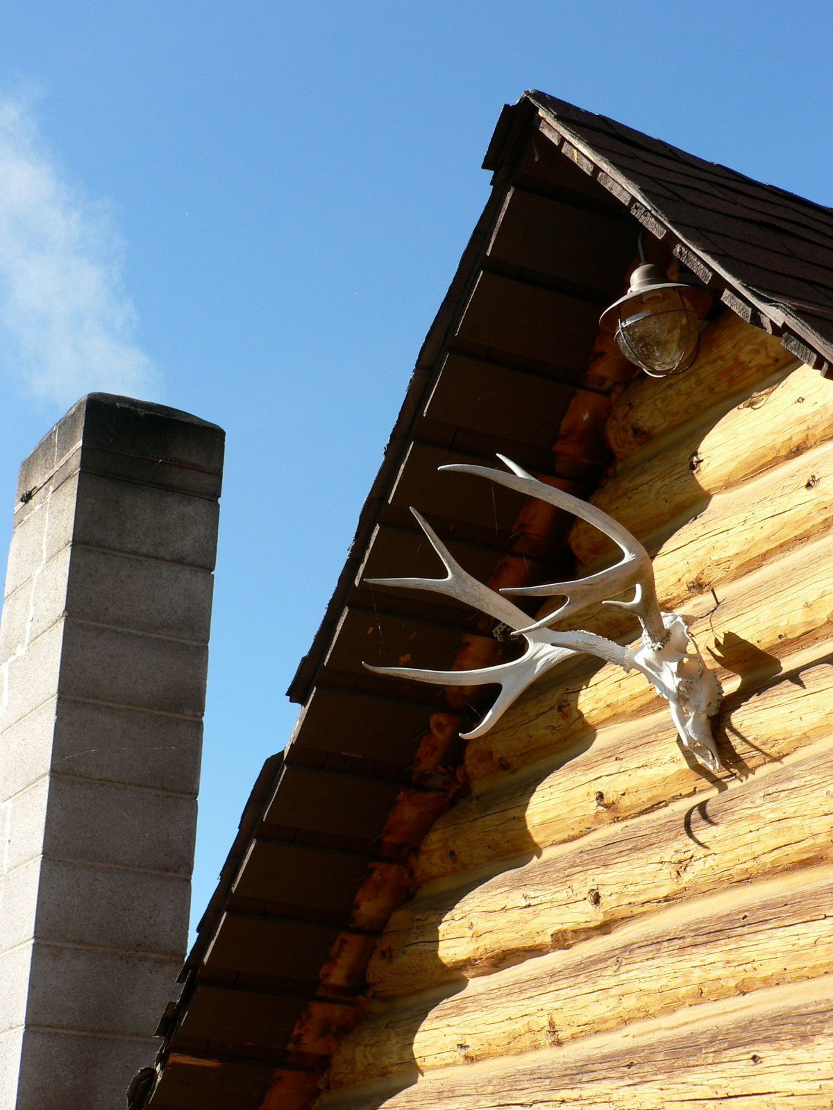 A deer skull hangs on the side of a log cabin