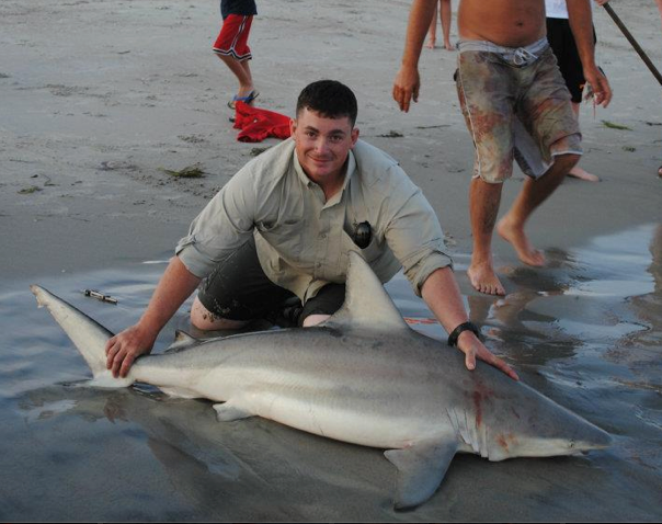 A man is kneeling next to a large shark on the beach