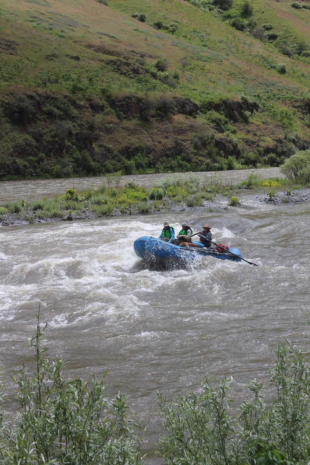 A group of people are rafting down a river.