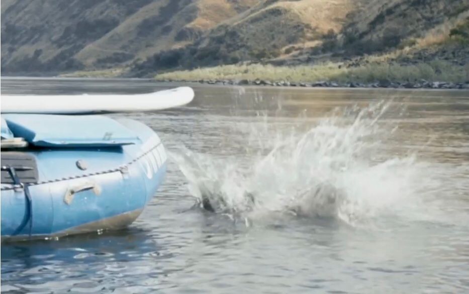 Blue Raft is Floating on Top of A Body of Water