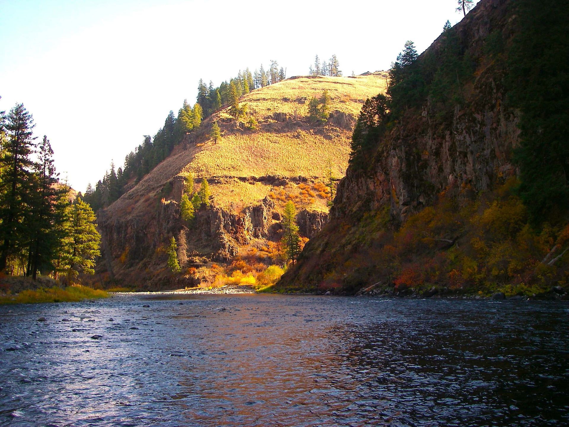 A river with a mountain in the background and trees on the shore