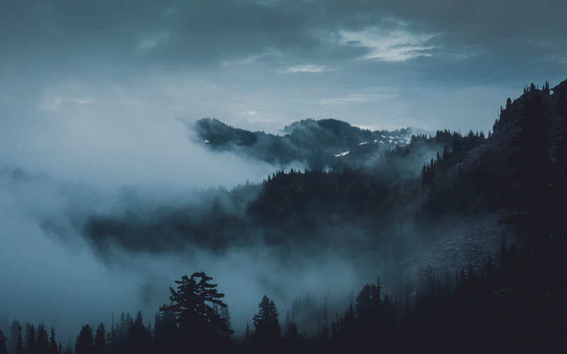 A mountain covered in fog with trees in the foreground and a cloudy sky in the background.