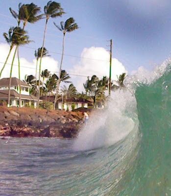 A wave crashing on a beach with palm trees in the background