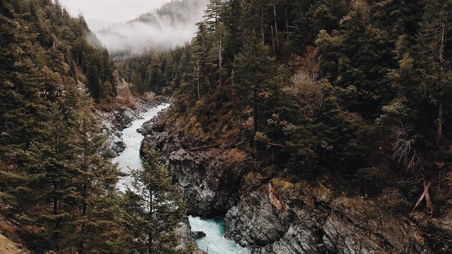 River Running Through a Canyon Surrounded by Trees and Rocks