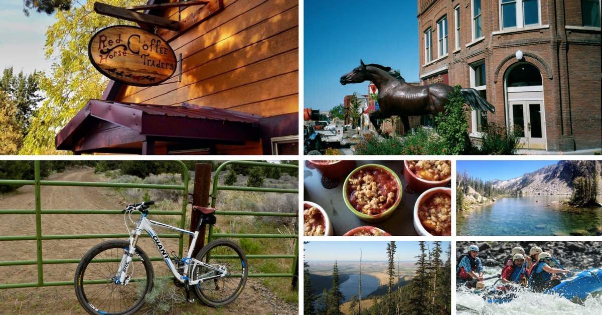 Photo Collage of Bicycle, Horse, Building, Food, and Rafting