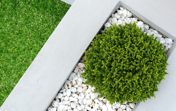 A small plant is growing in a planter filled with white rocks.