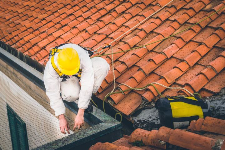 installazione di barriere di protezione dai volatili