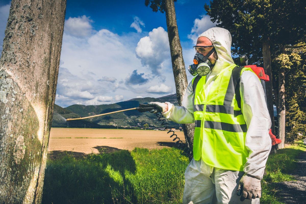 addetto alla disinfestazione insetti