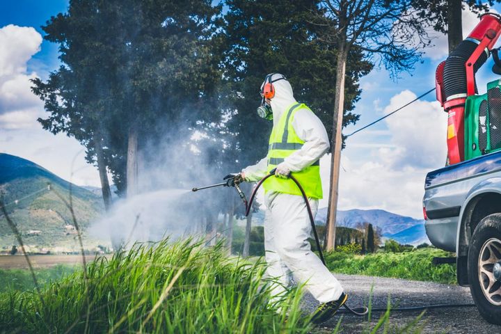 fasi di disinfestazione