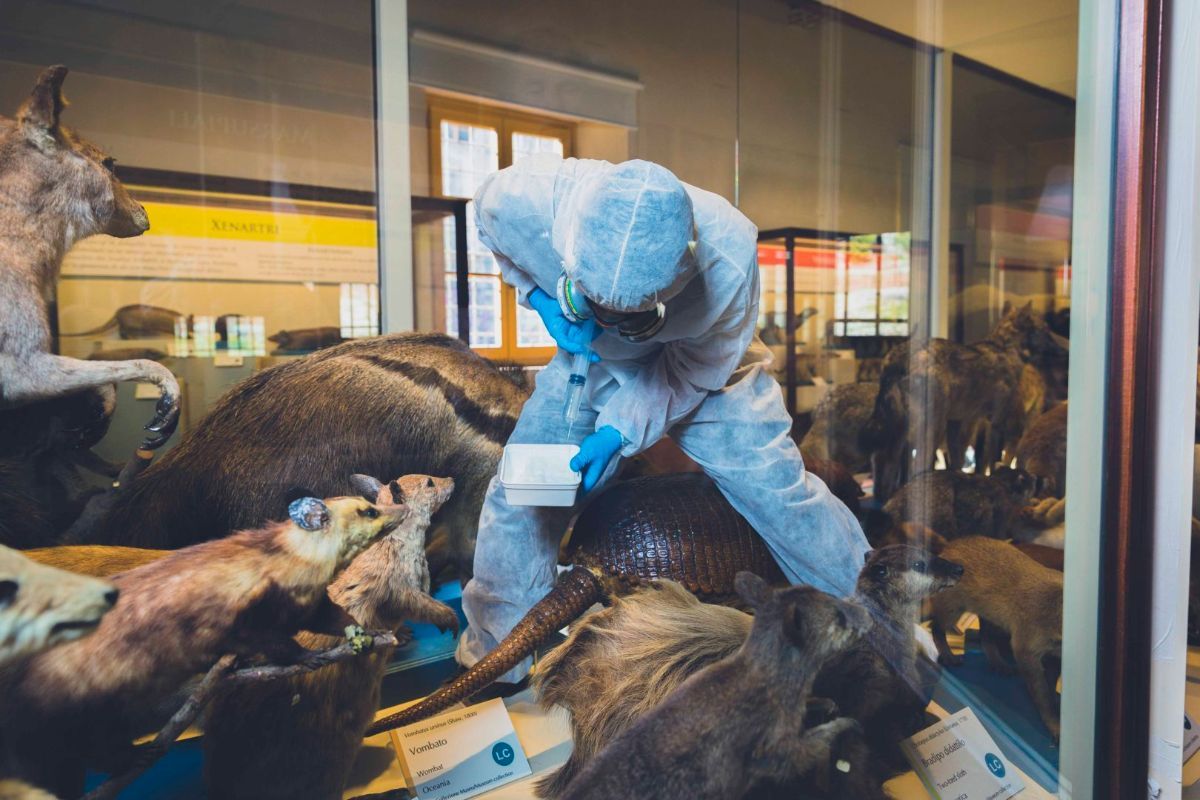 addetto alla disinfestazione