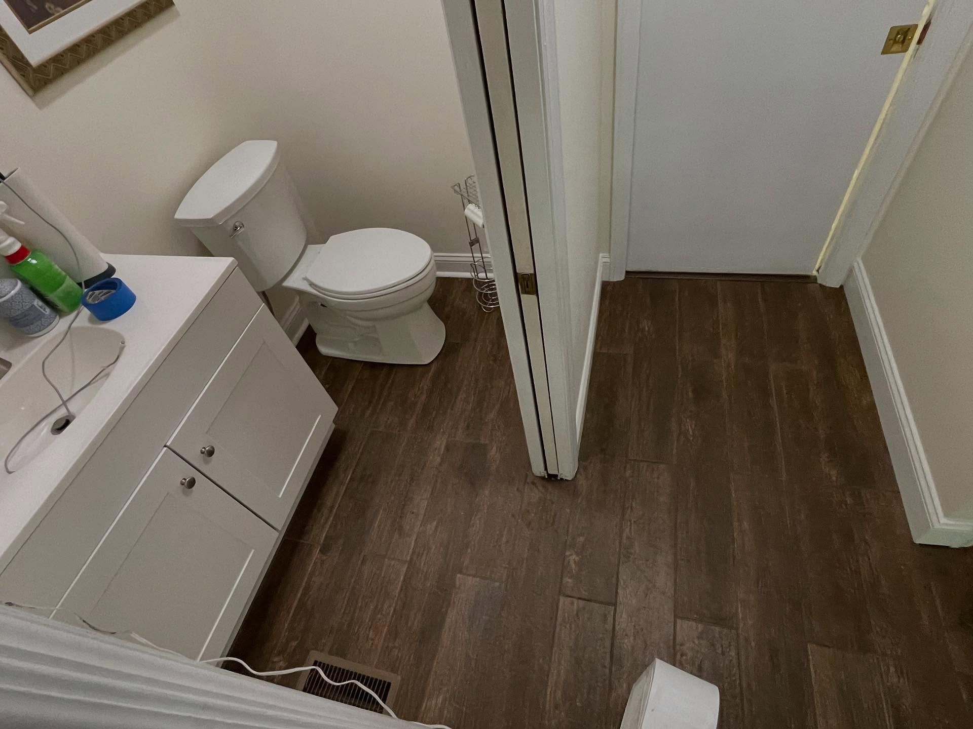 Bathroom with a toilet, vanity, and a partially open door. Dark wood-look flooring.