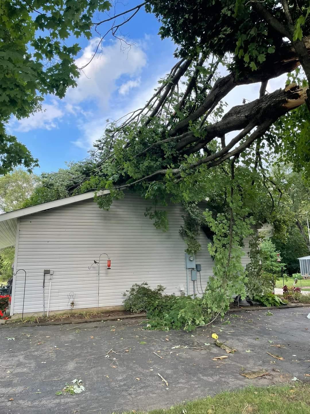 A Tree Broke Off — Terre Haute, IN — Wabash Valley Tree Service