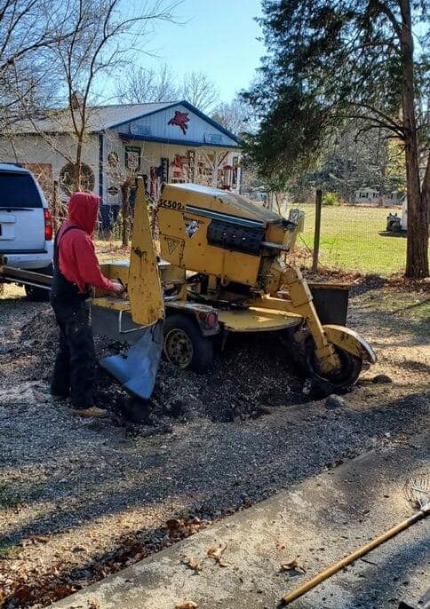 Tree Stump Grinding — Terre Haute, IN — Wabash Valley Tree Service