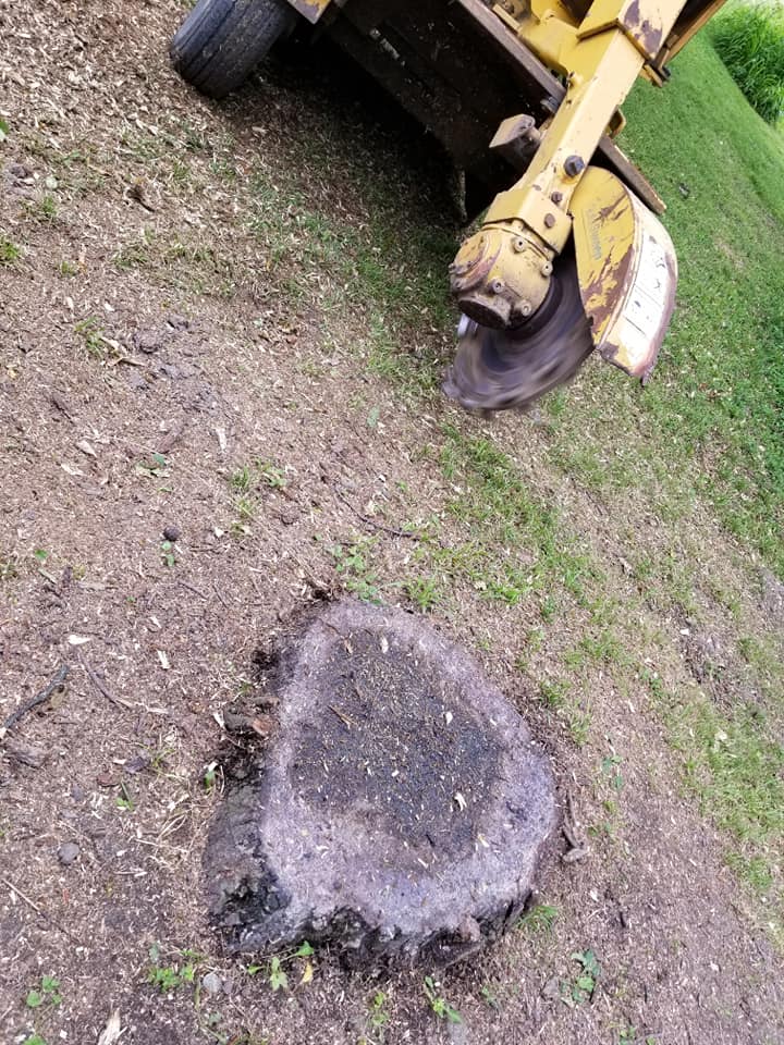 A Stump Grinding Machine — Terre Haute, IN — Wabash Valley Tree Service