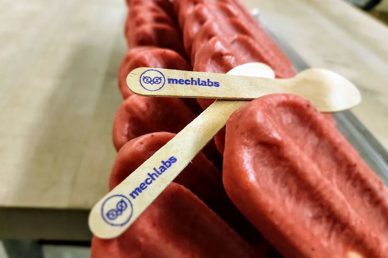 A row of ice cream popsicles with wooden spoons that say mechlabs on them