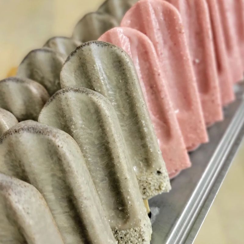 A tray of ice cream bars with different flavors