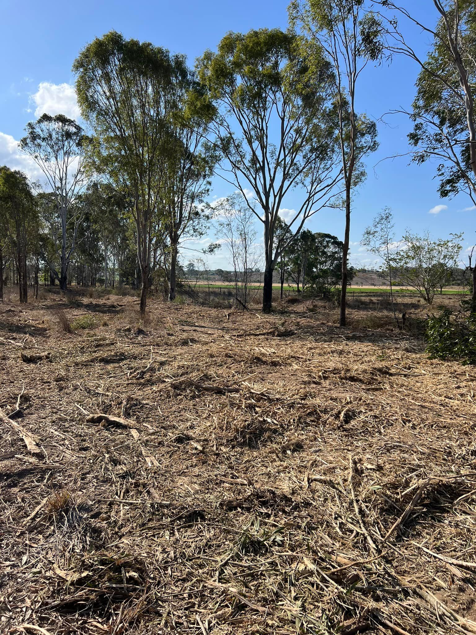 Cleared Land With Tree Stumps and Scattered Debris, Trees in Background, Sunny Day — Dudgeon’s Earthworks in Murgon, QLD