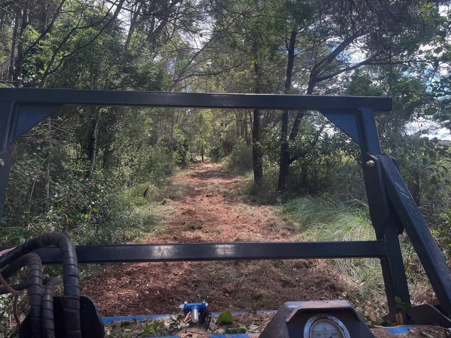View From Tractor Cab, Looking Down a Dirt Path Through Woods — Dudgeon’s Earthworks in Murgon, QLD