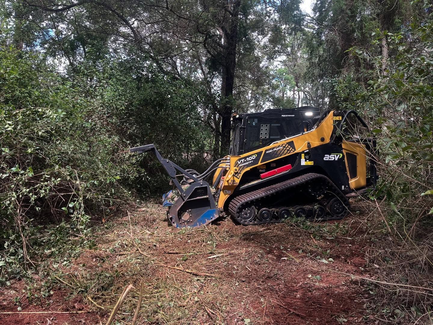 Yellow and Black Track Loader Clearing Brush in a Wooded Area — Dudgeon’s Earthworks in Murgon, QLD