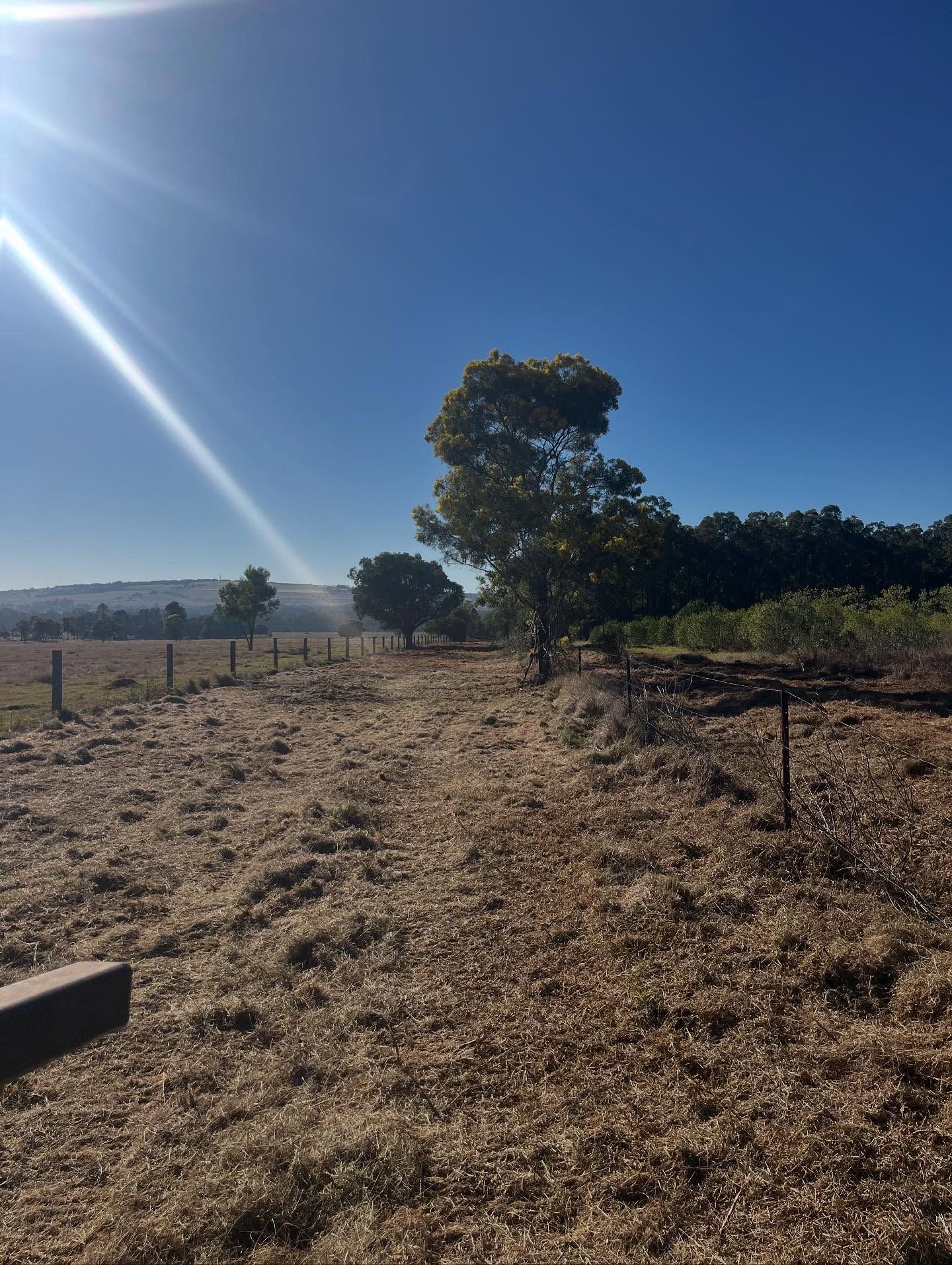 Dry Field With Trees and Fence Under a Bright Blue Sky — Dudgeon’s Earthworks in Murgon, QLD