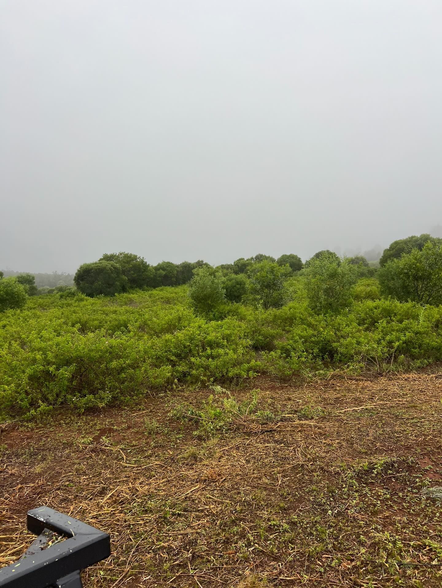 Green Bushes and Grass Under a Gray, Overcast Sky — Dudgeon’s Earthworks in Murgon, QLD