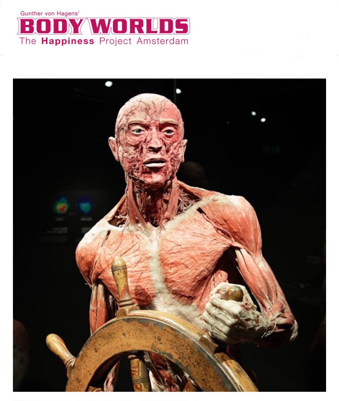 Visit Body Worlds