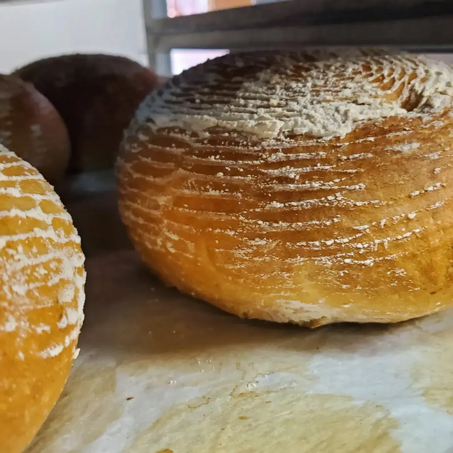 Close-up of crusty, round bread loaves on a baking sheet, dusted with flour.