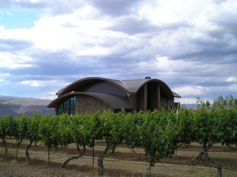 A house in the middle of a vineyard with a cloudy sky in the background